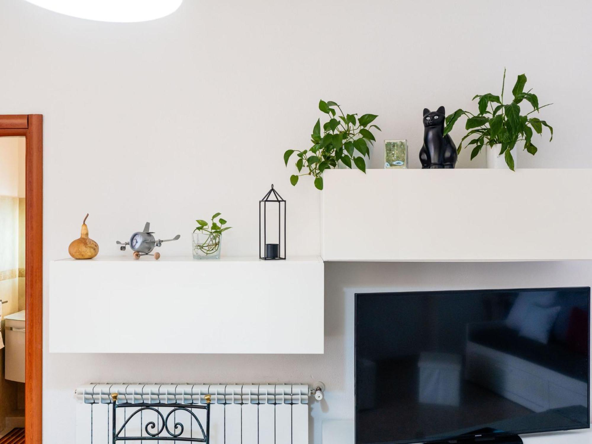Apartment Calella By Interhome Кампоросо Екстериор снимка